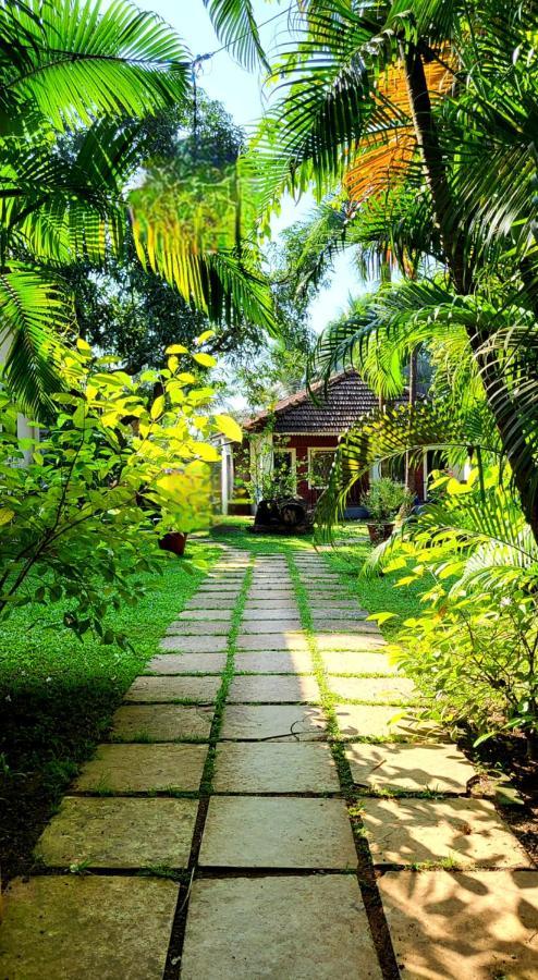 Garden Villa Vagator Kültér fotó